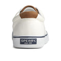 Blanc - Back - Sperry - Chaussures STRIPER CVO - Homme
