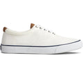 Blanc - Lifestyle - Sperry - Chaussures STRIPER CVO - Homme