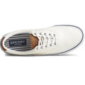 Blanc - Pack Shot - Sperry - Chaussures STRIPER CVO - Homme