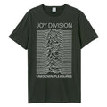 Charbon - Front - Amplified - T-shirt UNKNOWN PLEASURES - Adulte
