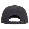 Charbon - Back - Amplified - Casquette