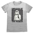 Gris - Front - Star Wars - T-shirt EMPLOYEE OF THE MONTH - Adulte