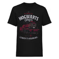 Noir - Front - Harry Potter - T-shirt ALL ABOARD - Adulte