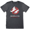 Anthracite - Front - Ghostbusters - T-shirt - Adulte