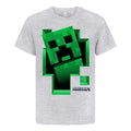 Gris - Front - Minecraft - T-shirt manches courtes - Garçon