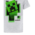 Gris - Lifestyle - Minecraft - T-shirt manches courtes - Garçon