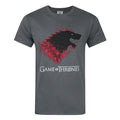 Gris foncé - Front - Game of Thrones - T-shirt BLOODY DIREWOLF - Homme