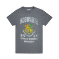 Gris foncé - Front - Harry Potter - T-shirt - Homme