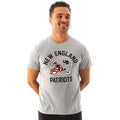 Gris - Back - NFL - T-shirt NEW ENGLAND PATRIOTS - Homme