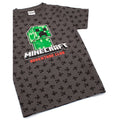 Gris - Lifestyle - Minecraft - T-shirt - Enfant