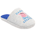 Gris - Bleu - Rose - Front - Peppa Pig - Chaussons DADDY - Homme
