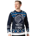 Bleu - Blanc - Front - Game of Thrones - Pull - Adulte