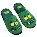 Vert - Close up - Rick And Morty - Chaussons - Homme