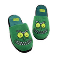 Vert - Front - Rick And Morty - Chaussons - Homme