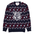 Bleu - Rouge - Blanc - Front - Harry Potter - Pull - Adulte