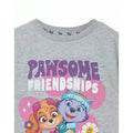 Gris - Back - Paw Patrol - T-shirt PAWSOME FRIENDSHIPS - Fille