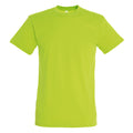 Vert clair - Front - SOLS - T-shirt REGENT - Homme