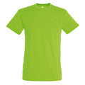Vert - Front - SOLS - T-shirt REGENT - Homme