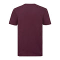 Bordeaux - Back - Russell - T-shirt manches courtes AUTHENTIC - Homme