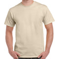 Beige clair - Back - Gildan - T-Shirt manches courtes - Homme