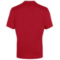 Rouge - Back - Canterbury - Polo CLUB DRY - Homme