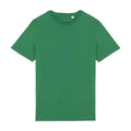 Vert tilleul - Front - Native Spirit - T-shirt - Adulte