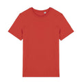 Rouge orangé - Front - Native Spirit - T-shirt - Adulte