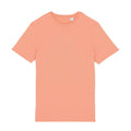 Abricot - Front - Native Spirit - T-shirt - Adulte