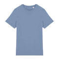 Bleu - Front - Native Spirit - T-shirt - Adulte