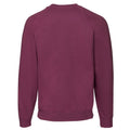 Bordeaux - Back - Fruit of the Loom - Sweat CLASSIC - Homme