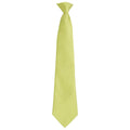 Vert clair - Front - Premier - Cravate COLOURS FASHION - Adulte