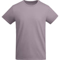 Lavande - Front - Roly - T-shirt BREDA - Homme