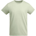Vert brume - Front - Roly - T-shirt BREDA - Homme