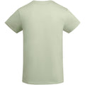 Vert brume - Back - Roly - T-shirt BREDA - Homme