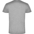 Gris chiné - Back - Roly - T-shirt SAMOYEDO - Homme