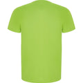 Vert citron - Back - Roly - T-shirt IMOLA - Homme