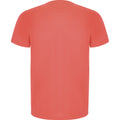 Corail fluo - Back - Roly - T-shirt IMOLA - Homme
