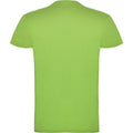 Vert kaki vif - Back - Roly - T-shirt BEAGLE - Enfant