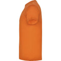 Orange - Side - Roly - T-shirt BEAGLE - Enfant