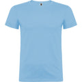 Bleu ciel - Front - Roly - T-shirt BEAGLE - Enfant