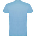 Bleu ciel - Back - Roly - T-shirt BEAGLE - Enfant