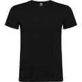 Noir - Front - Roly - T-shirt BEAGLE - Enfant
