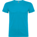 Turquoise vif - Front - Roly - T-shirt BEAGLE - Enfant
