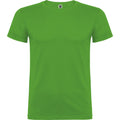Vert - Front - Roly - T-shirt BEAGLE - Enfant
