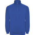 Bleu roi - Front - Roly - Sweat ANETO - Homme