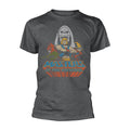 Gris - Front - Masters Of The Universe - T-shirt - Adulte