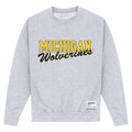 Gris chiné - Front - Michigan Wolverines - Sweat - Adulte