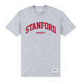 Gris - Front - Stanford University - T-shirt - Adulte