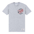 Gris chiné - Front - Park Fields - T-shirt CITY SLICKERS - Adulte