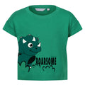 Vert jade - Front - Regatta - T-shirt - Enfant